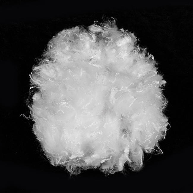 Sợi Staple Polyester 1.2D * 32MM
