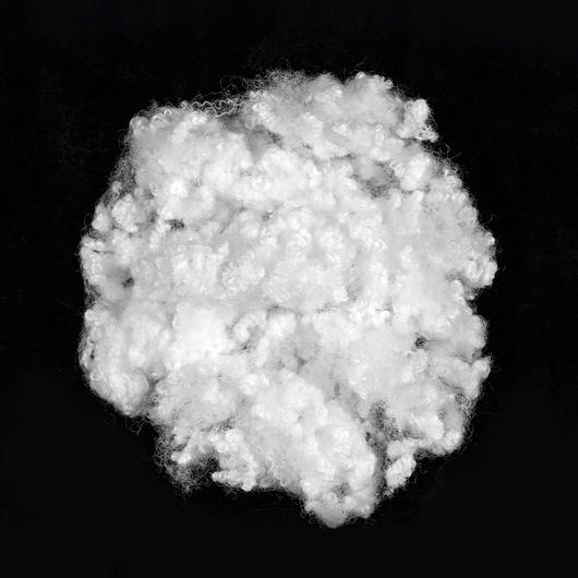 Sợi Staple Polyester 15D * 64MM HC